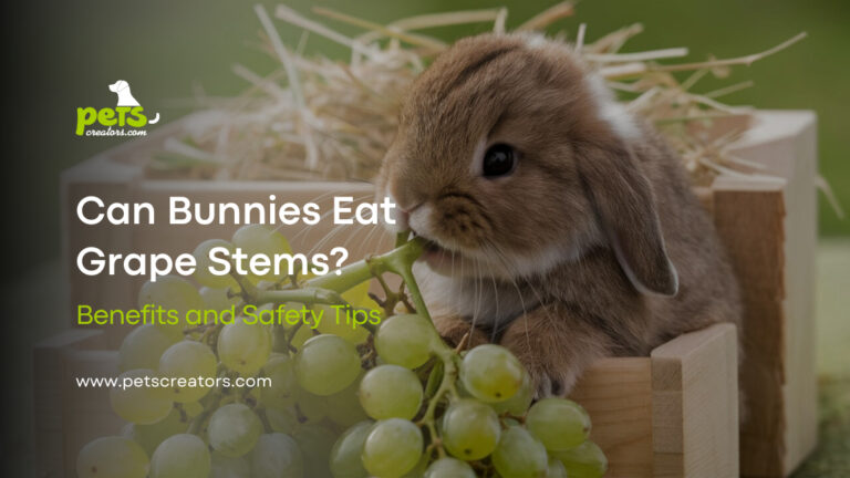 Can Bunnies Eat Grape Stems?