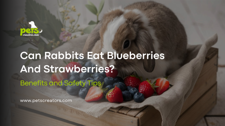 Can Rabbits Eat Blueberries And Strawberries?