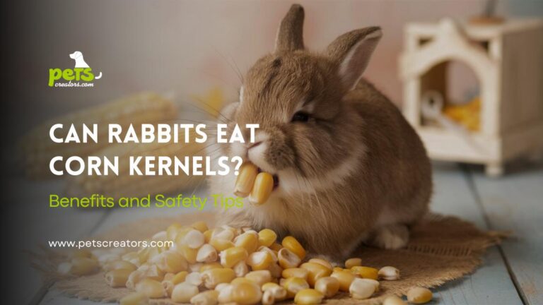 Can Rabbits Eat Corn Kernels?
