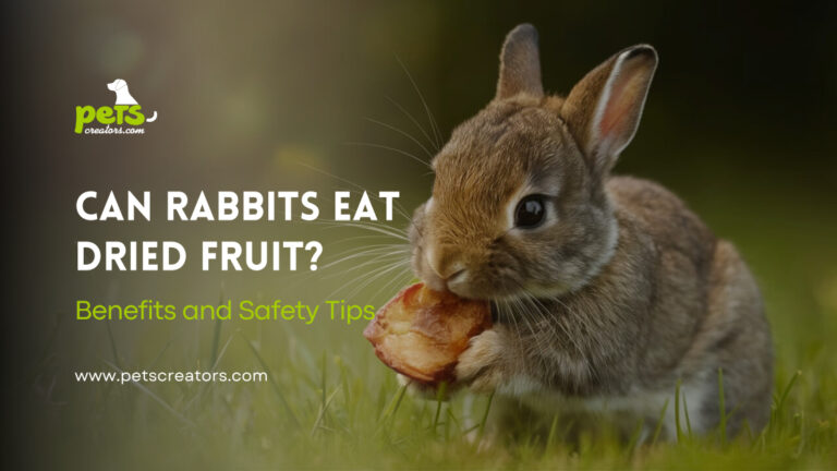 Can Rabbits Eat Dried Fruit?